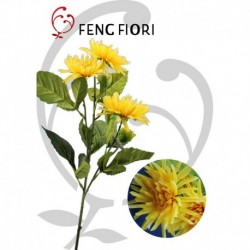 Crisantemo singolo 5F