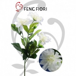 Dalia singola 5F