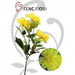Dalia singola 5F