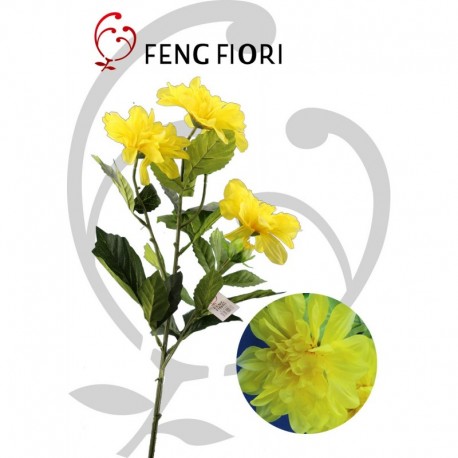 Dalia singola 5F