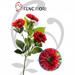 Dalia singola 5F