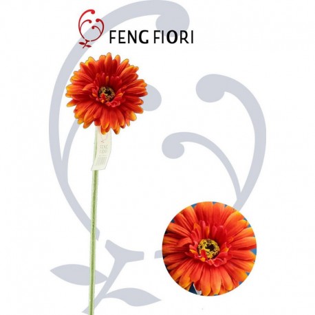 Gerbera singola