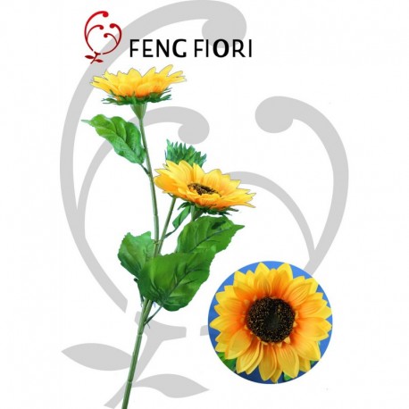 Girasole 3F