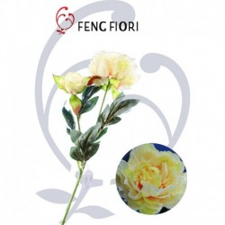 Peonia singola