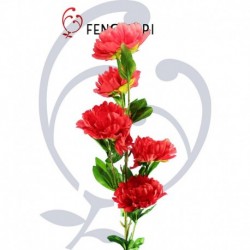 Peonia singola