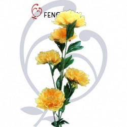 Peonia singola
