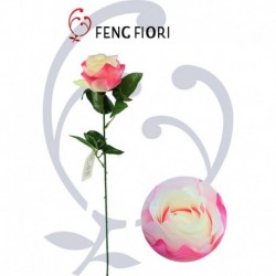 Rosa singola