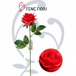 Rosa singola