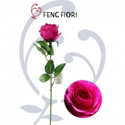 Rosa singola