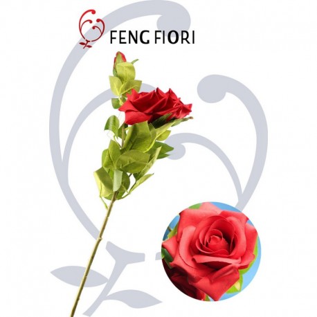 Rose 3F