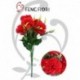Bouquet garofani 7F