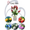 MAZZETTO ROSE BOCCIOLI 7F