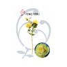 ROSA SINGOLA 3F