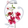 MAGNOLIA SINGOLA 60CM