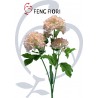 XT-D823 ROSAORTENSIA 3F 72CM